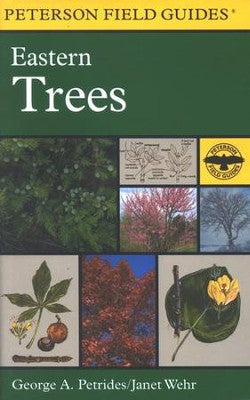 A Field Guide to Eastern Trees: Eastern US and Canada, Including the Midwest