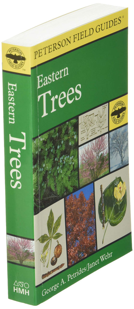 Eastern Trees A Field Guide to Eastern Trees: Eastern US and Canada, Including the M ...