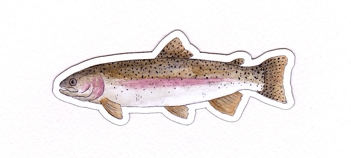 Freshwater Fish WATERPROOF Stickers 