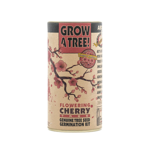 Flowering Cherry Tree Grow a Tree Kit