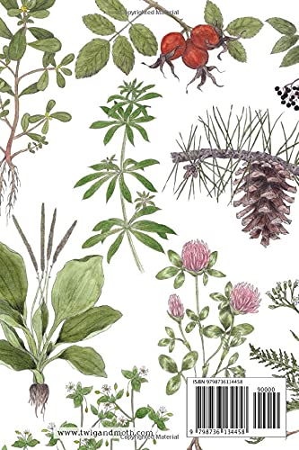 Foraging Log for Kids (Twig & Moth) – nature+nurture