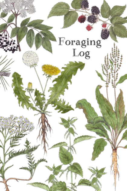 Foraging Log: A Foraging Log for Kids (Twig & Moth)