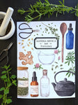 Materia Medica and Formulary: An Herbal Studies Notebook and Journal for Herbalists of all Ages