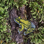 Frog Nature Woodland Pin