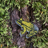 Frog Nature Woodland Pin