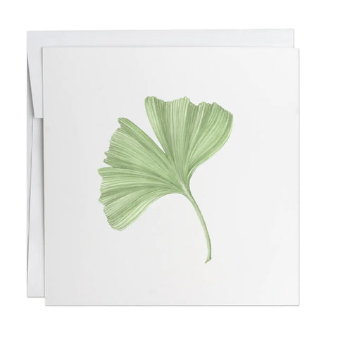 Note Card | Ginkgo (3: by 3")