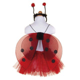 Glitter Ladybug Set, size 4-6