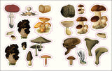 The Forests, Fairies and Fungi Sticker Anthology: With More Than 1,000 Vintage Stickers