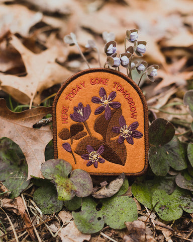 Hepatica Iron-On Patch