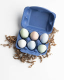 Bird Eggs Hopscotch Chalk