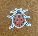 Ladybug Waterproof Sticker