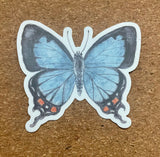 Blue Butterfly Waterproof Sticker