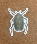 June Beetle Bug Waterproof Sticker