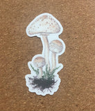 Cream Colored Mushrooms Waterproof Stickers
