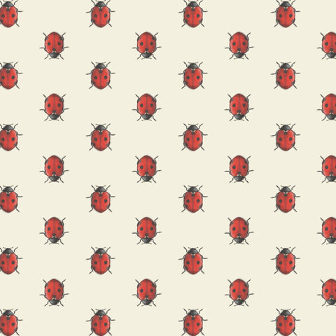 Lucky Charms: Ladybug Gift Wrap