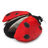 Ladybug Life Cycle Puppet