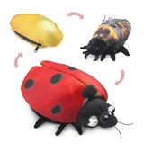 Ladybug Life Cycle Puppet