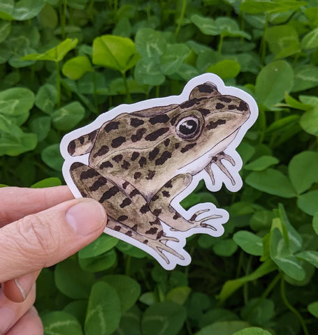 Leopard Frog Sticker (Twig & Moth)