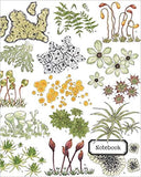 Lichen and Mosses Composition Notebook (Twig & Moth)