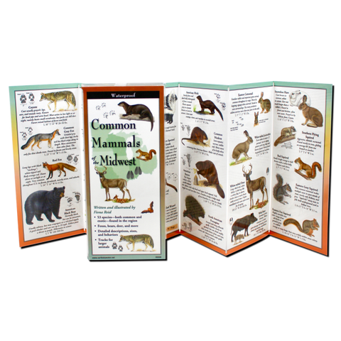 Common Mammals of the Midwest (Folding Guides)