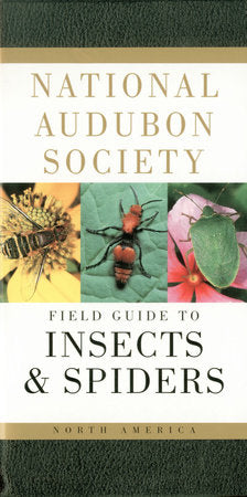 National Audubon Society Field Guide to Insects and Spiders North America