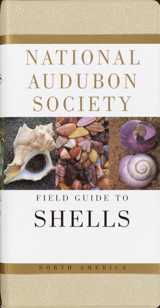 National Audubon Society Field Guide to Shells North America