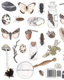 Nature Journal - Nature Collection Cover Art (Twig & Moth)