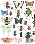 Nature Journal - Assorted Insects Cover Design (Twig & Moth)