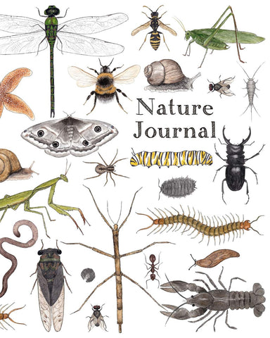 Nature Journal: Minibeasts Cover Art (Twig & Moth)