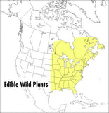 A Peterson Field Guide to Edible Wild Plants: Eastern and Central North America