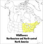 A Peterson Field Guide to Wildflowers: Northeastern and North-Central North America
