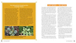 Plant Partners: Science-Based Companion Planting Strategies for the Vegetable Garden