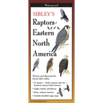 Sibley's Raptors of Eastern North America (FoldingGuides)