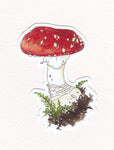 Red Amanita Muscaria Mushroom Waterproof Sticker (Twig & Moth)