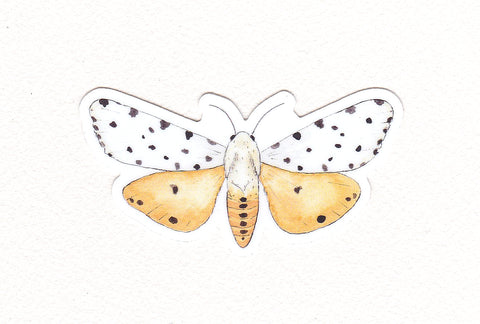 Salt Marsh Moth - Acrea Moth - Waterproof Sticker