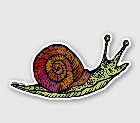 Funky Snail Decal