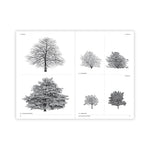 The Architecture of Trees