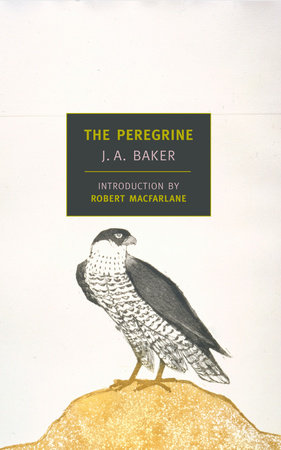 The Peregrine by J.A. Baker