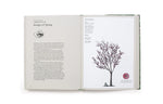 The Story of Trees: And How They Changed the World by Kevin Hobbs