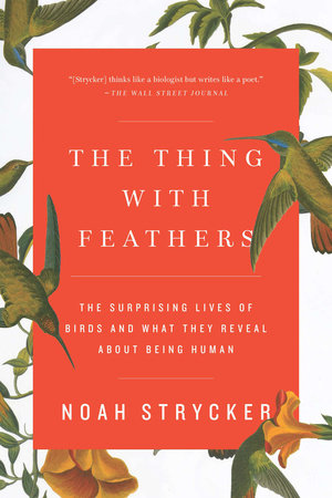 The Thing with Feathers The Surprising Lives of Birds and What They Reveal About Being Human by Noah Strycker