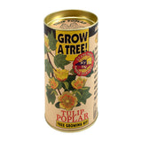 Tulip Poplar Grow a Tree Kit