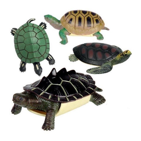 Turtle Squishamals