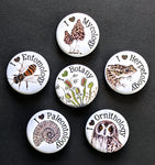 I Love Mycology Pinback Buttons (Twig & Moth)