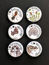 I Love Mycology Pinback Buttons (Twig & Moth)